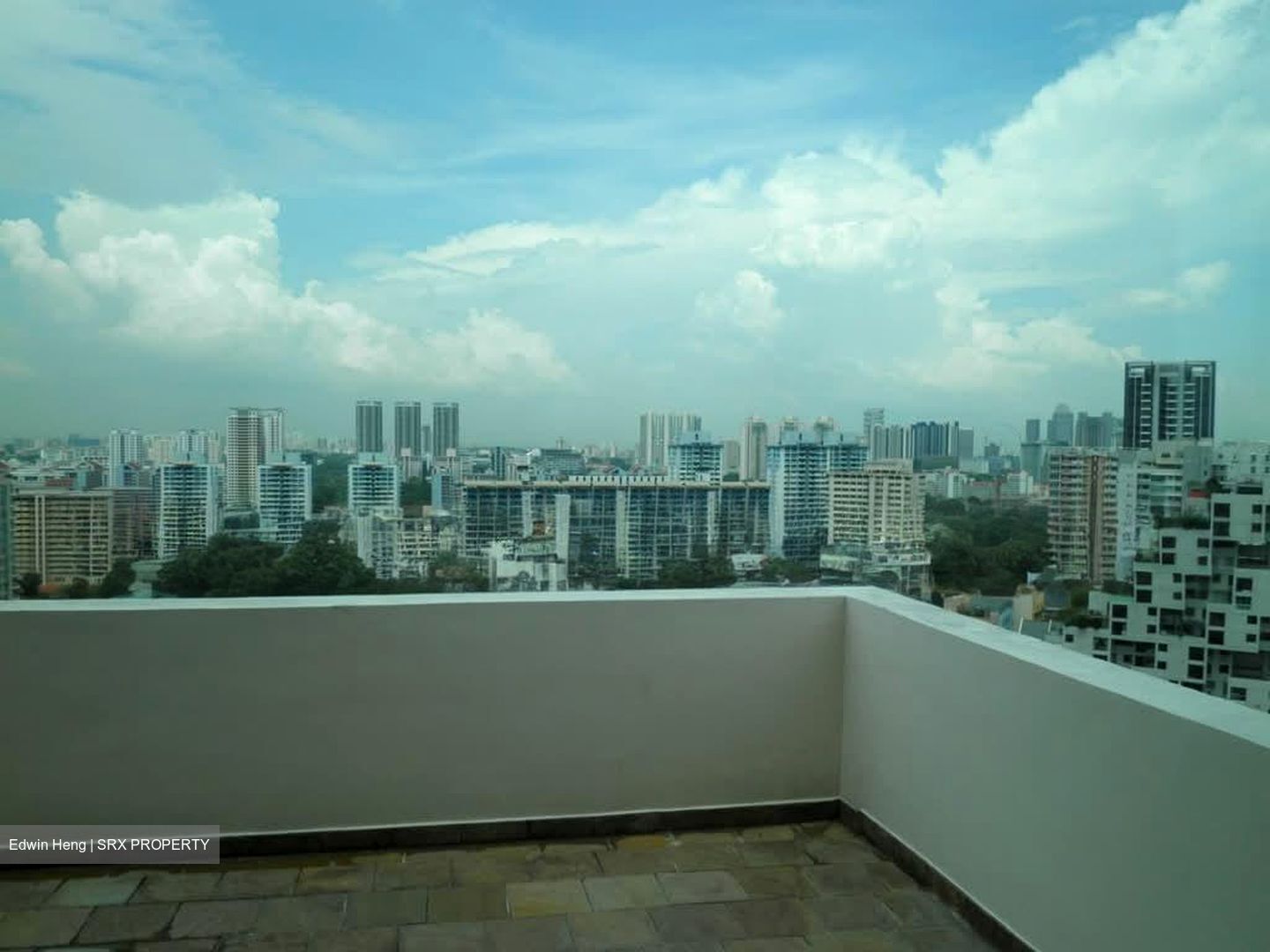 Twin Heights (D12), Apartment #576220731